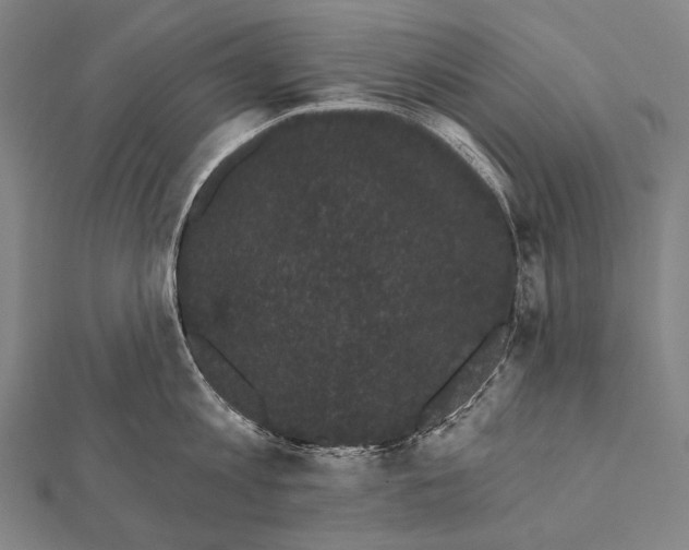 X0000112000813200908311113