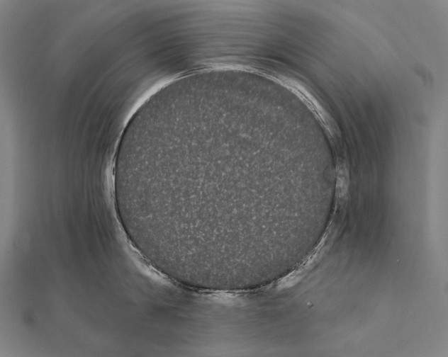 X0000112000814200908311113