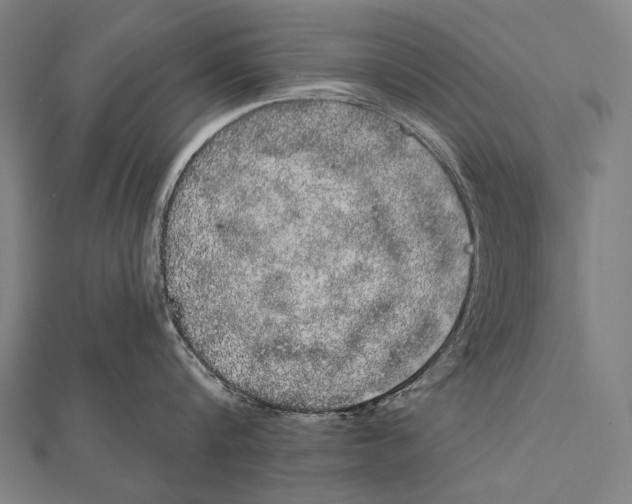 X0000112000816200908311113