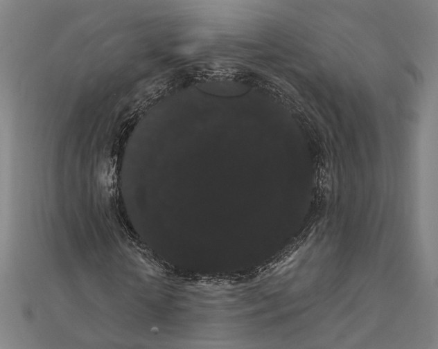 X0000112000818200908311112