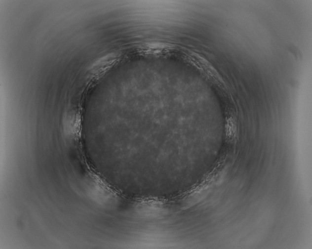 X0000112000820200908311112