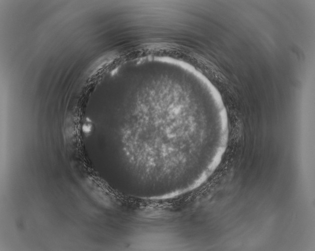 X0000112000824200908311112