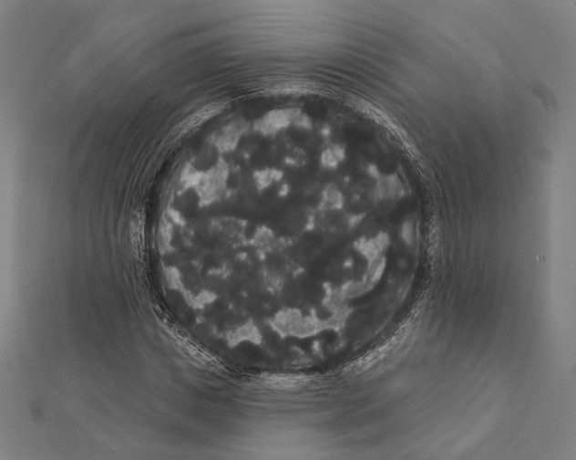 X0000112000825200908311112