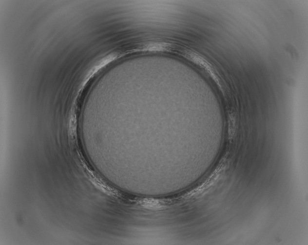 X0000112000827200908311112