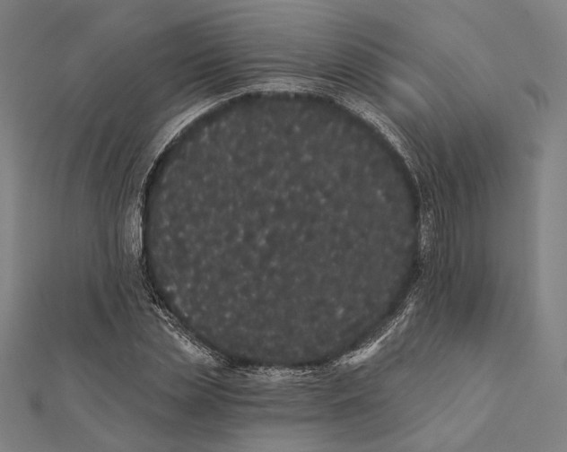 X0000112000829200908311112