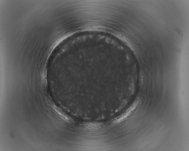 X0000112000830200908311112