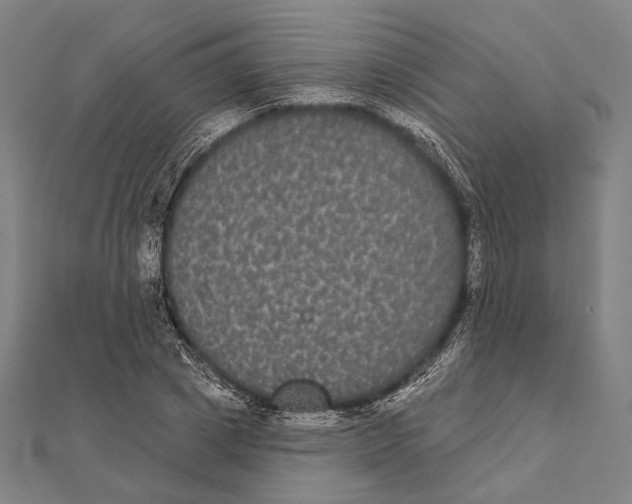 X0000112000833200908311112