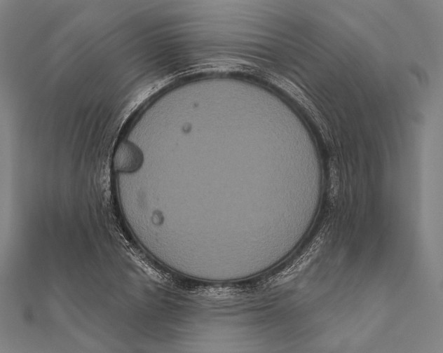 X0000112000834200908311112