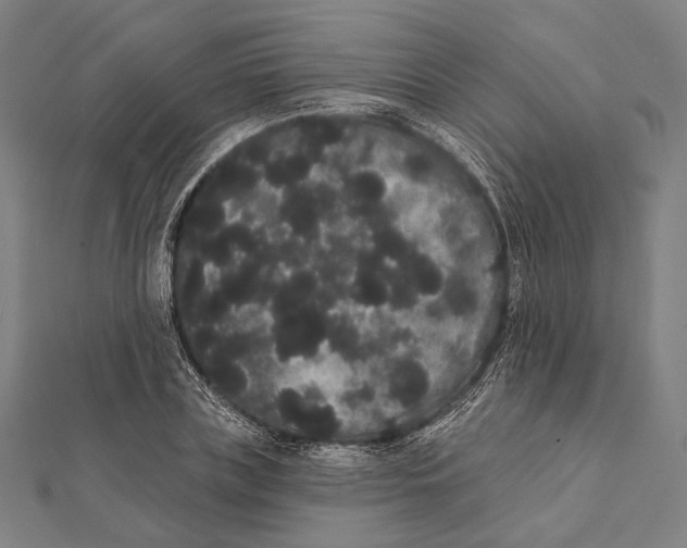 X0000112000835200908311112