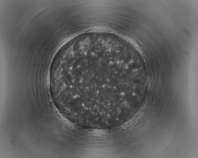 X0000112000839200908311112