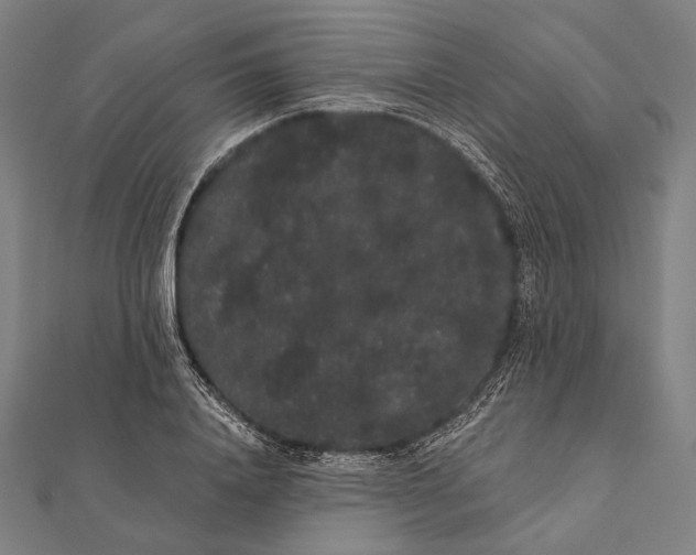 X0000112000840200908311112