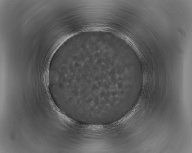 X0000112000844200908311112