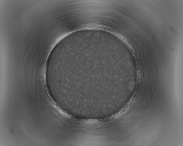 X0000112000846200908311112