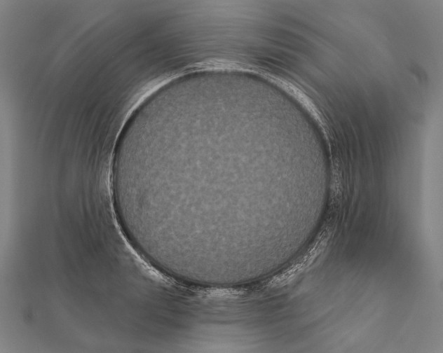 X0000112000847200908311112