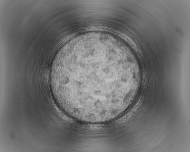 X0000112000849200908311112