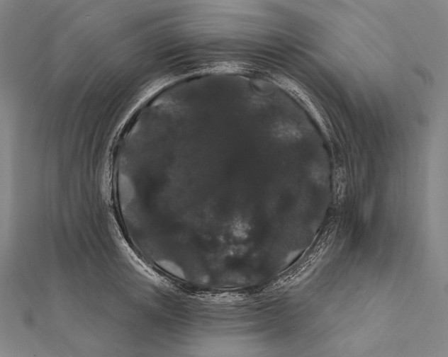 X0000112000851200908311112