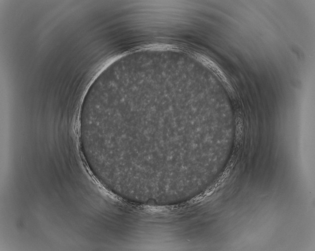 X0000112000852200908311112