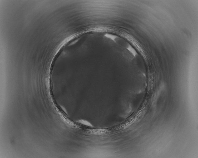 X0000112000853200908311112