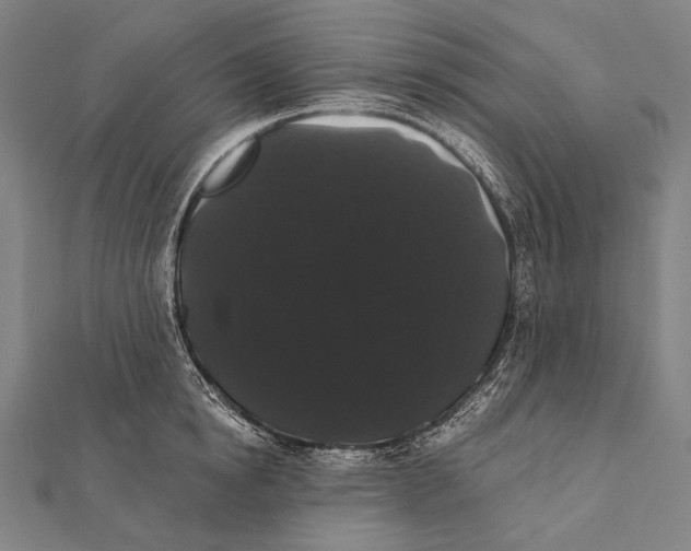 X0000112000854200908311112