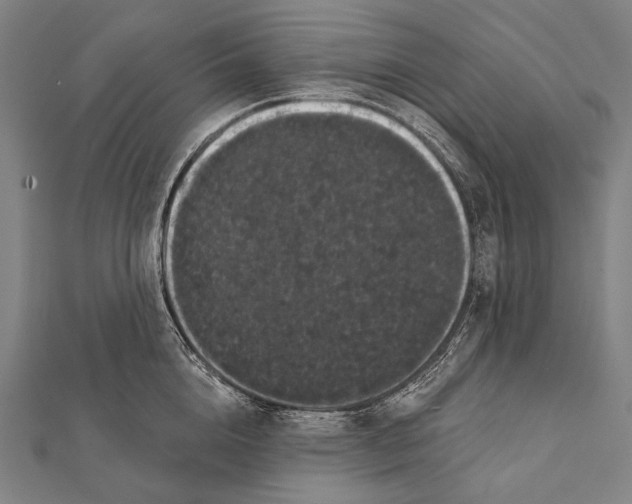 X0000112000856200908311112