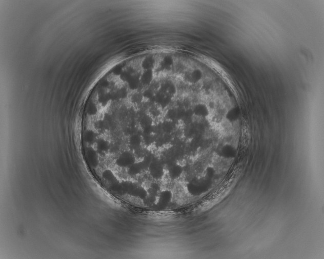 X0000112000859200908311112