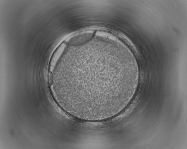 X0000112000860200908311112