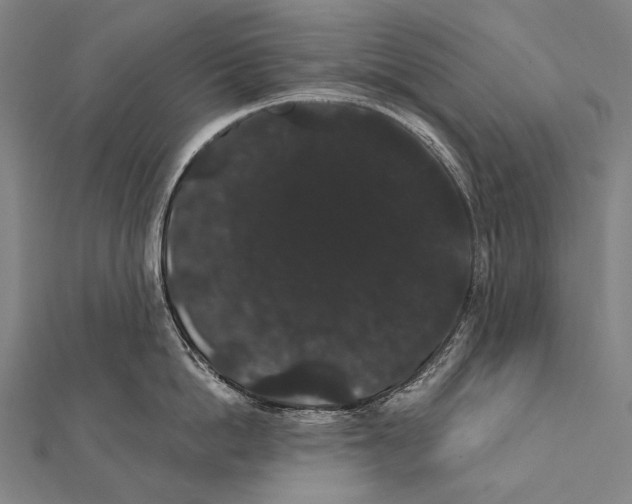 X0000112000862200908311112