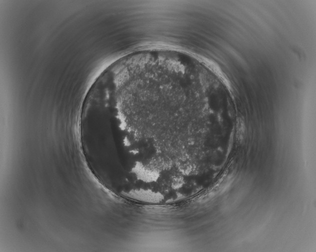 X0000112000863200908311113