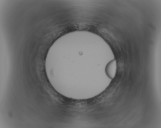 X0000112000865200908311112