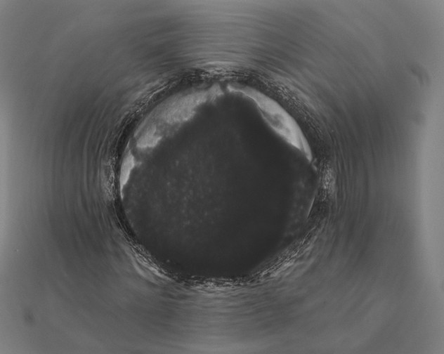 X0000112000868200908311112