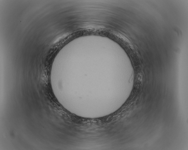 X0000112000869200908311112