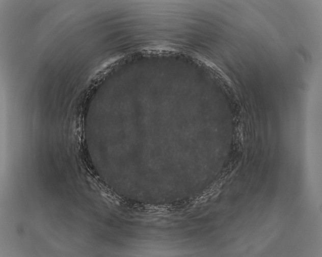 X0000112000870200908311112