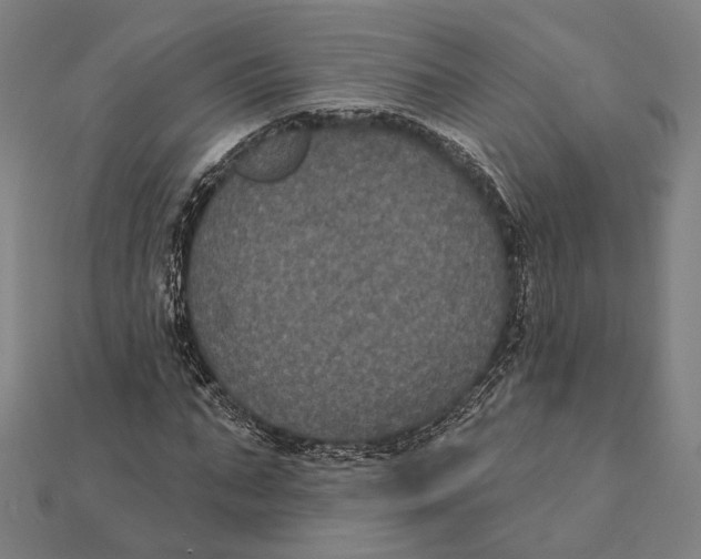 X0000112000871200908311112