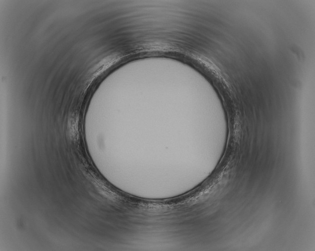 X0000112000873200908311112