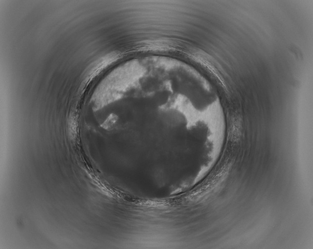 X0000112000874200908311112