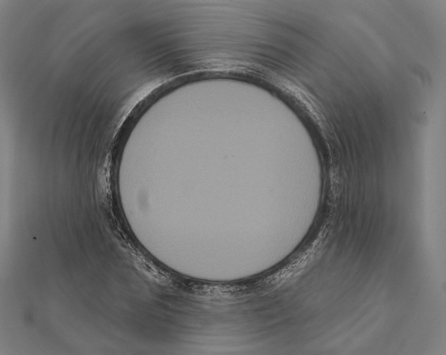 X0000112000875200908311112