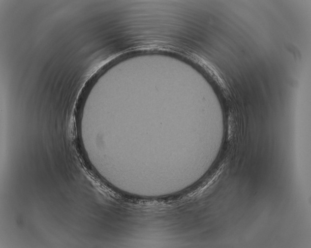 X0000112000876200908311112