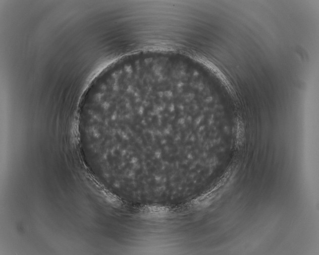 X0000112000878200908311112