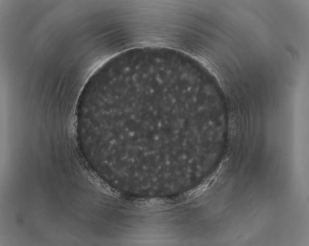 X0000112000879200908311112