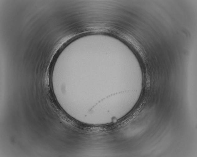 X0000112000883200908311112