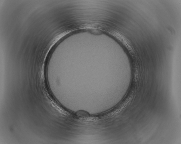 X0000112000884200908311112