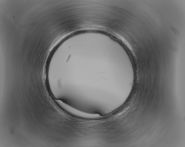 X0000112000885200908311112