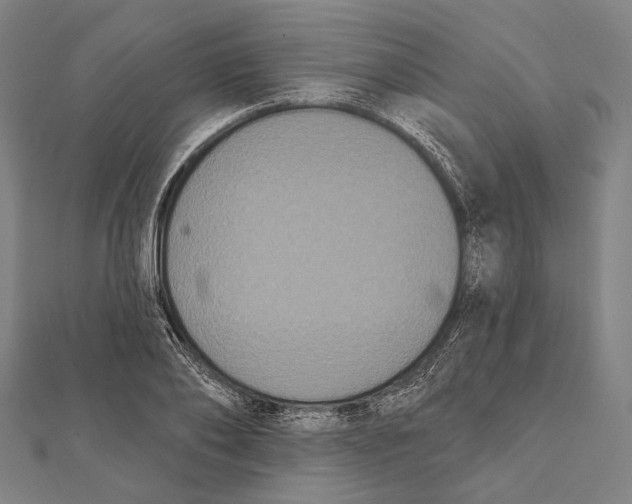 X0000112000886200908311112