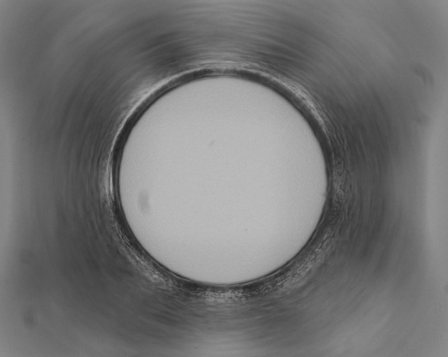 X0000112000887200908311112