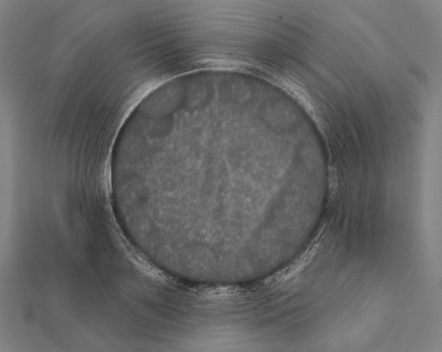 X0000112000891200908311112