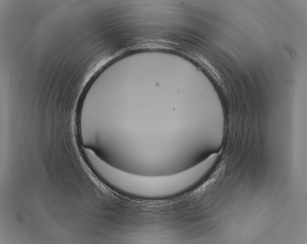 X0000112000893200908311112