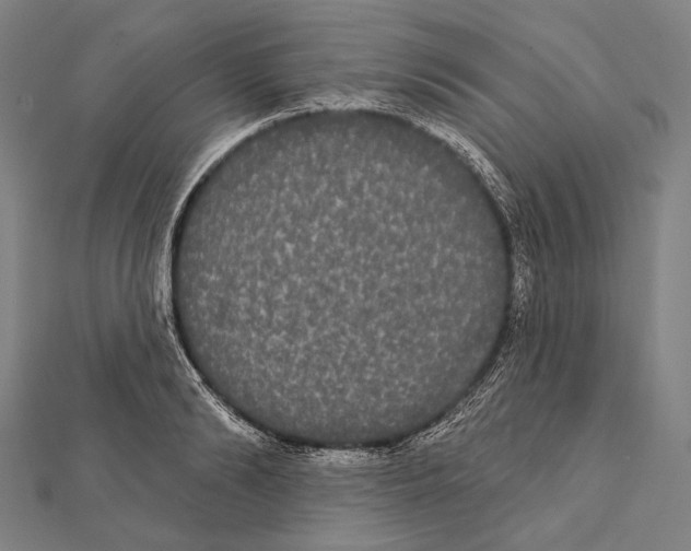 X0000112000894200908311112