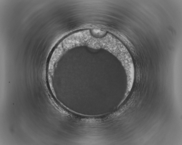 X0000112000896200908311111