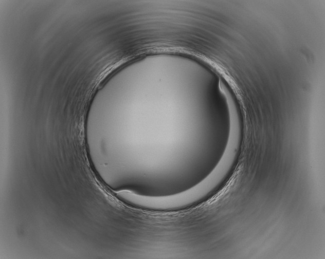 X0000112000897200908311111