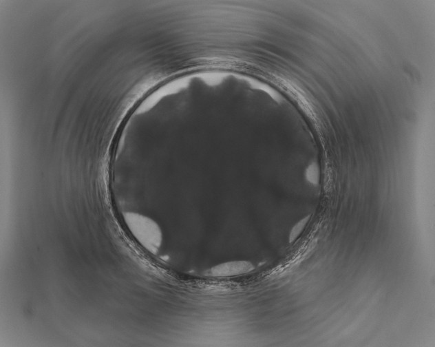 X0000112000899200908311111